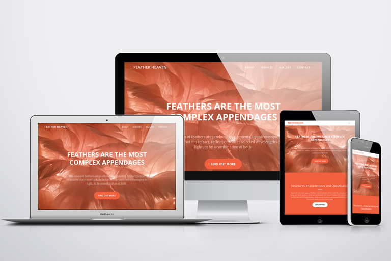 Feather Heaven – Web Design USA